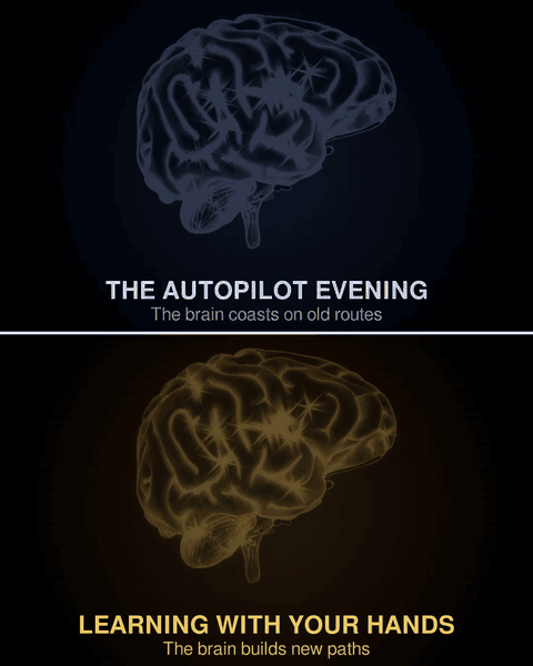 A dim brain on autopilot next to a bright, gold brain that is learning